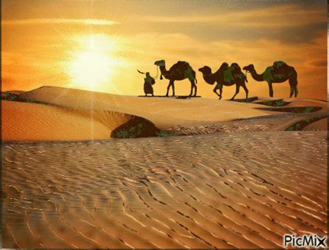 desert animated gif|Sahara Desert Landscape GIF .